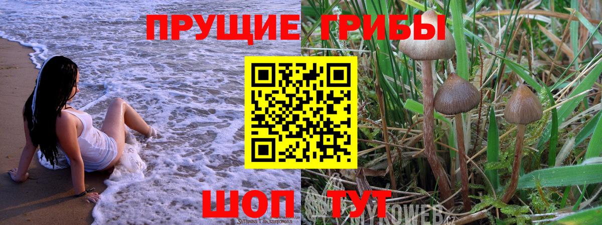 Новокубанск  Псилоцибиновые грибы ЛСД  Вход с VPN 